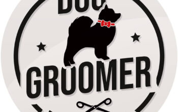 Dog Groomer Dumbrăvița-Toaletaj canin