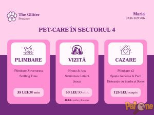 The Glitter Petsitter – Plimbări, Vizite și Cazare în SECTOR 4