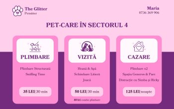 The Glitter Petsitter – Plimbări, Vizite și Cazare în SECTOR 4